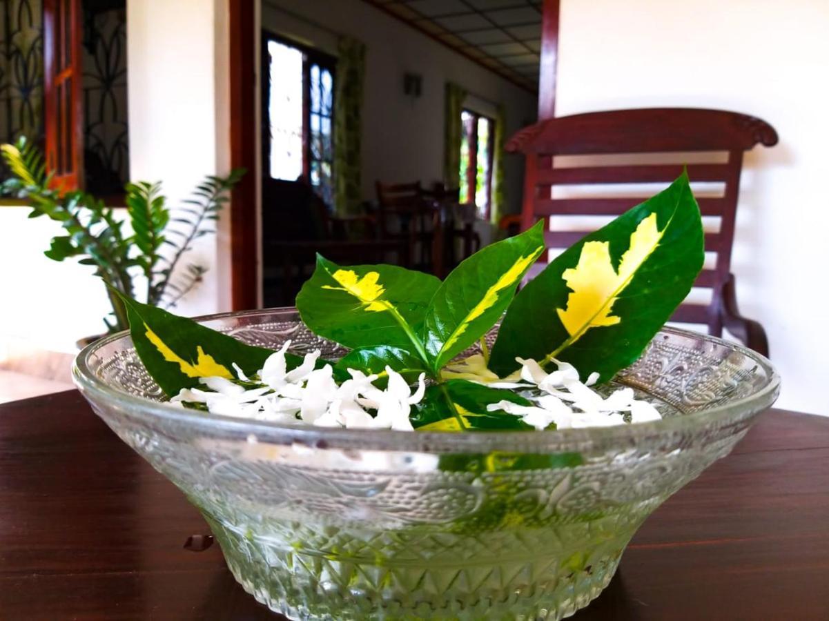 Sahana Sri Villa ベントータ エクステリア 写真